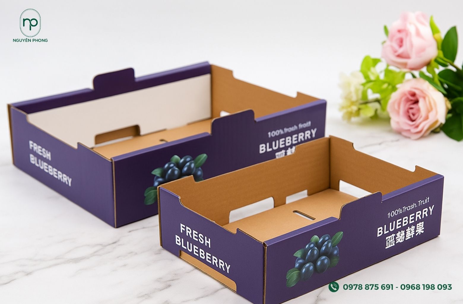 Thùng carton giúp bảo vệ việt quất
